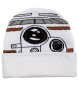 Droide BB8